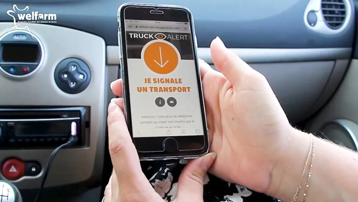 L'application TruckAlert ouverte sur un téléphone, écran « Je signale un transport »